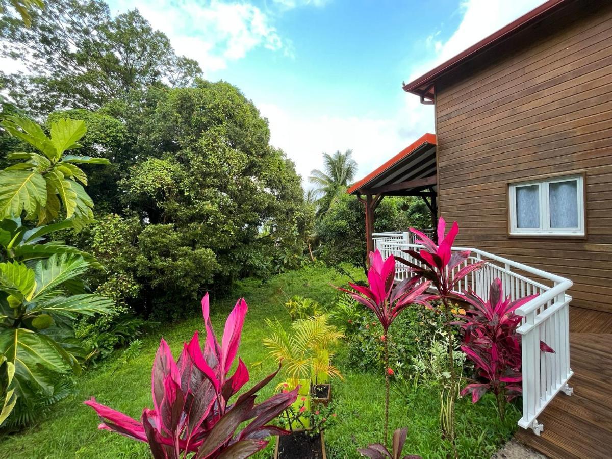 Mahogany Lodge - Oasis Cosy Rivière-Pilote Eksteriør billede