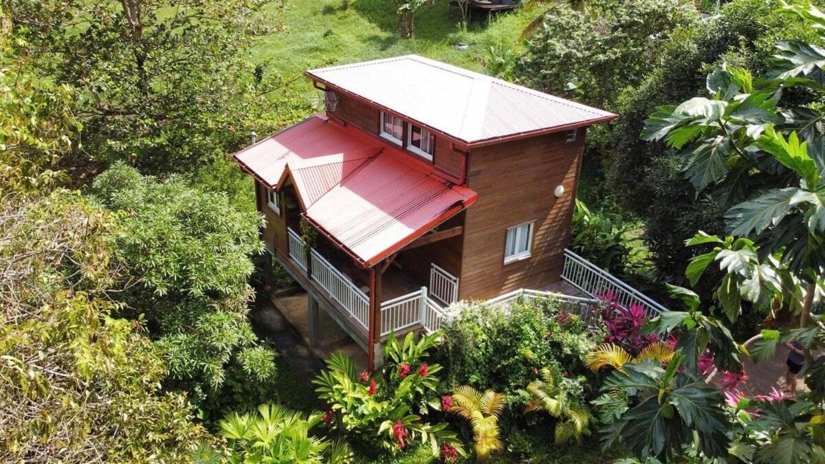 Mahogany Lodge - Oasis Cosy Rivière-Pilote Eksteriør billede