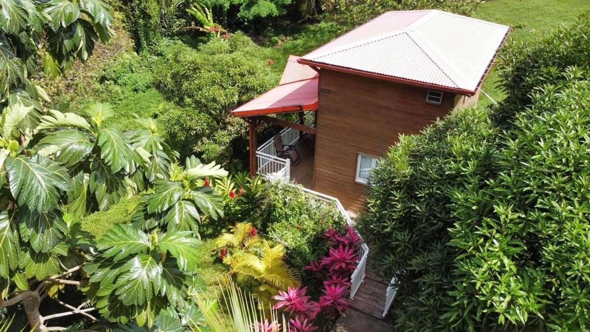 Mahogany Lodge - Oasis Cosy Rivière-Pilote Eksteriør billede
